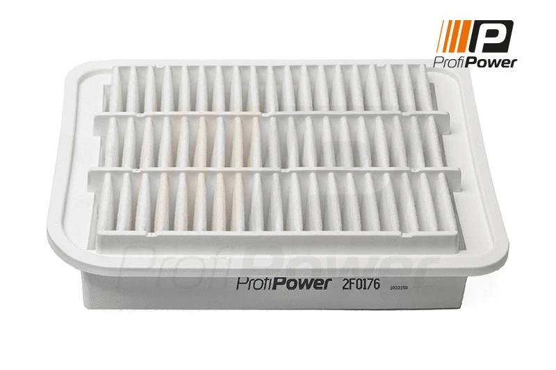 Air Filter (2F0176)