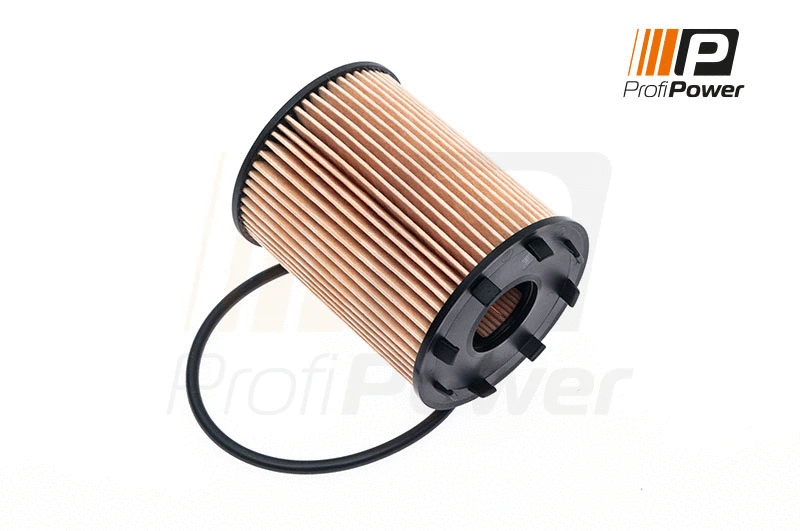Oil Filter (1F0043)