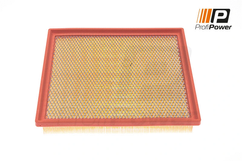 Air Filter (2F0110)