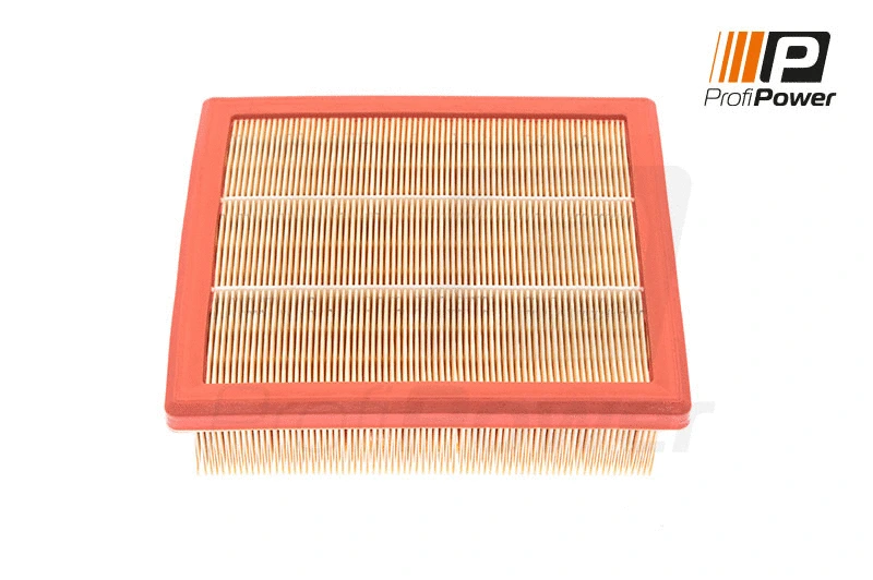 Air Filter (2F0124)