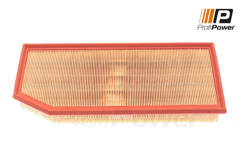 Air Filter (2F0152)
