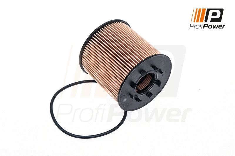 Oil Filter (1F0066)