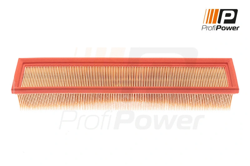 Air Filter (2F0125)