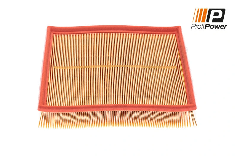 Air Filter (2F0002)