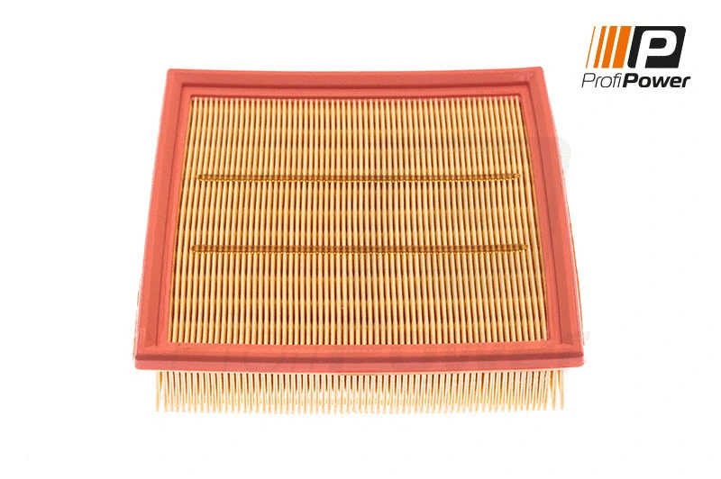 Air Filter (2F0131)