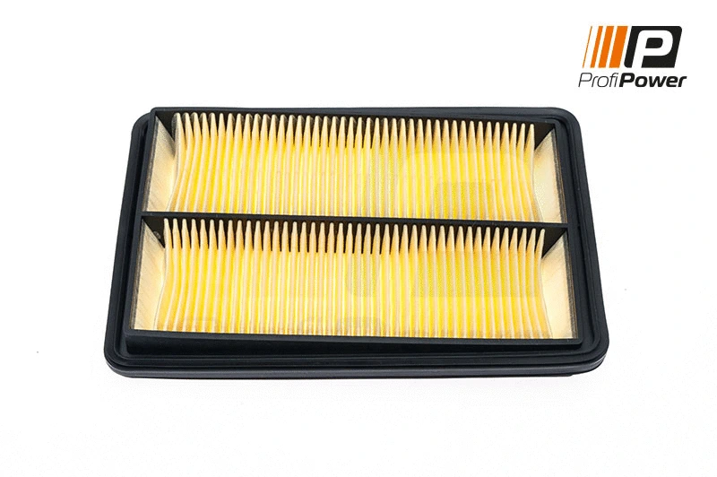Air Filter (2F0085)