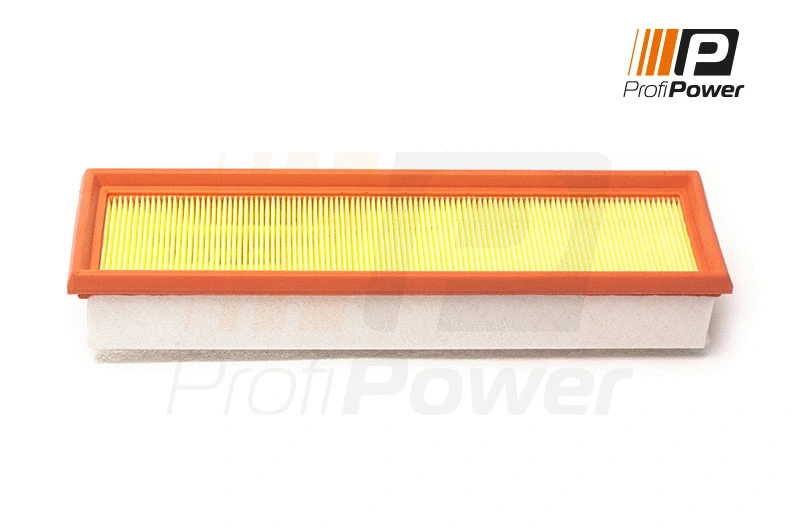 Air Filter (2F0179)