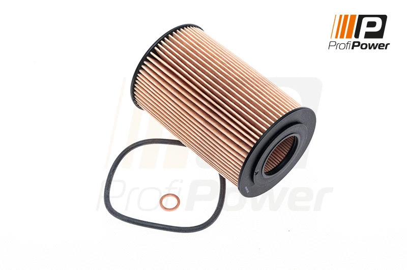 Oil Filter (1F0095)