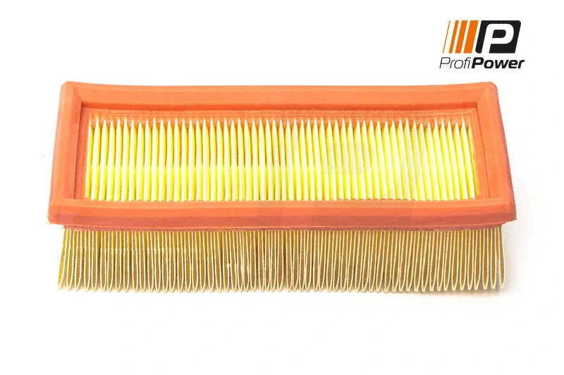 Air Filter (2F0177)