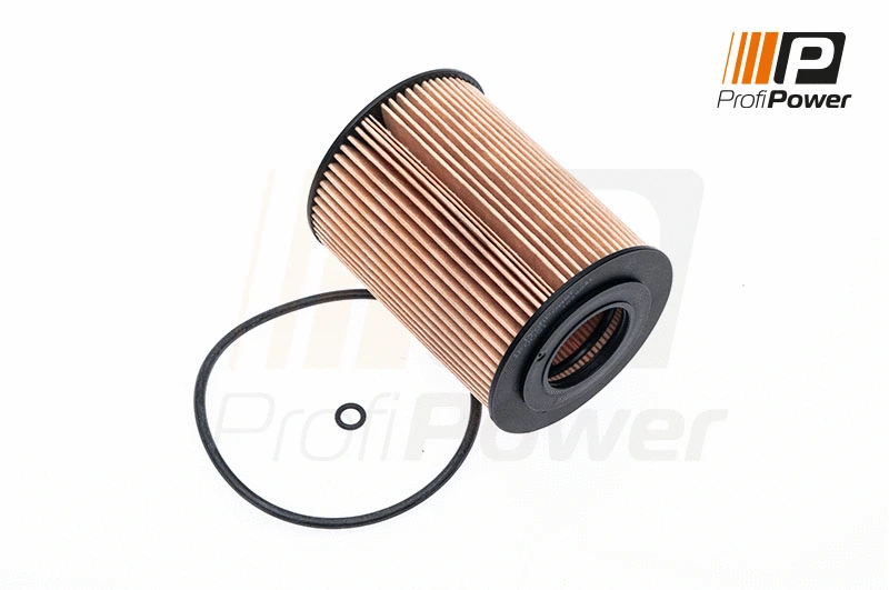 Oil Filter (1F0081)