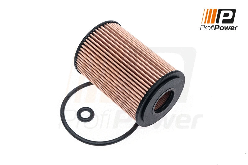 Oil Filter (1F0091)