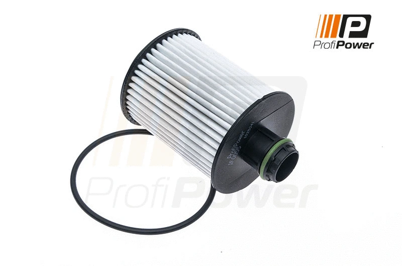 Oil Filter (1F0055)