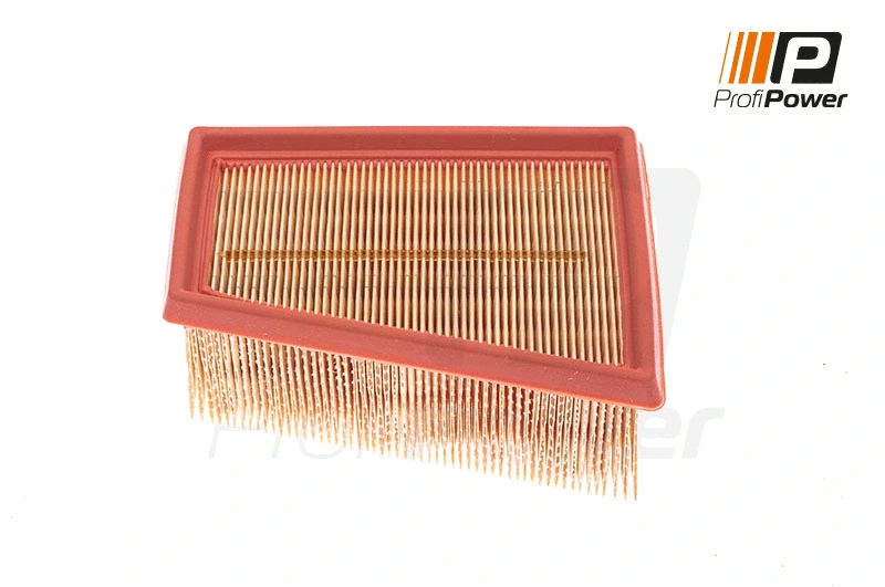 Air Filter (2F0017)