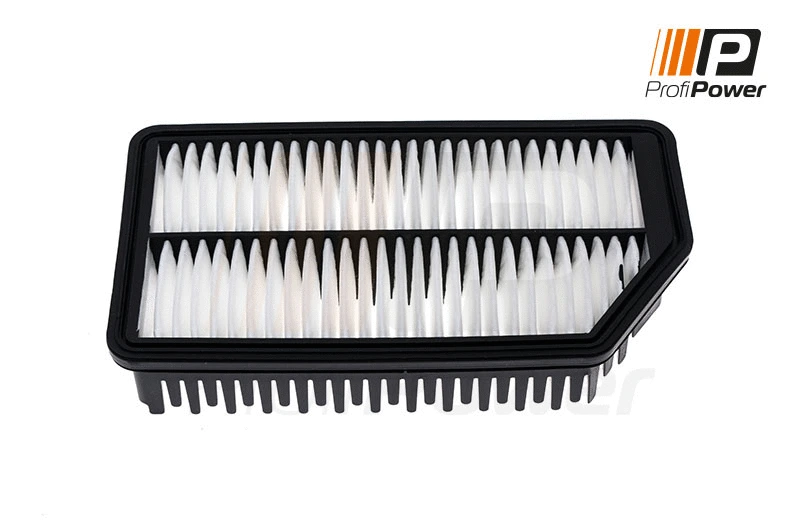 Air Filter (2F0138)
