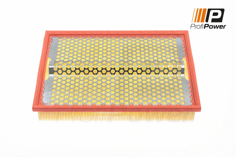 Air Filter (2F0141)