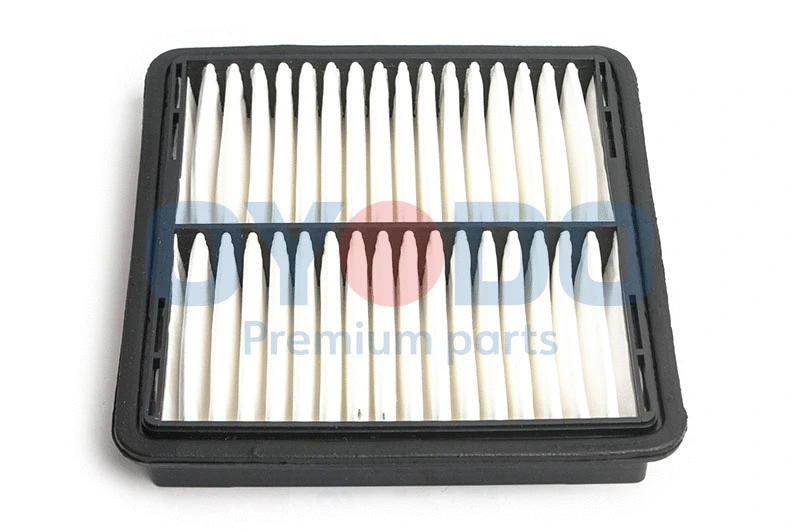 Air Filter (20F0006-OYO)