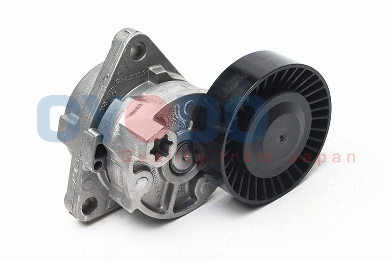 Tensioner Lever, V-ribbed belt (20R0319-OYO)