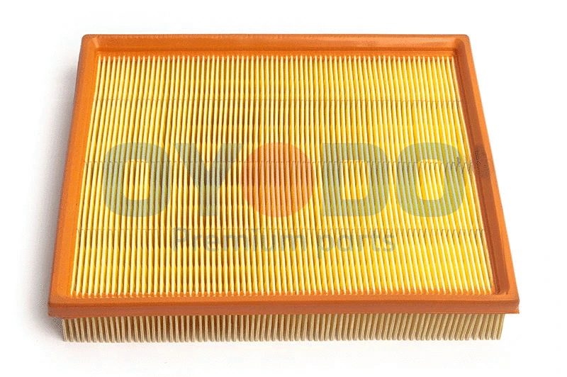 Air Filter (20F0001-OYO)