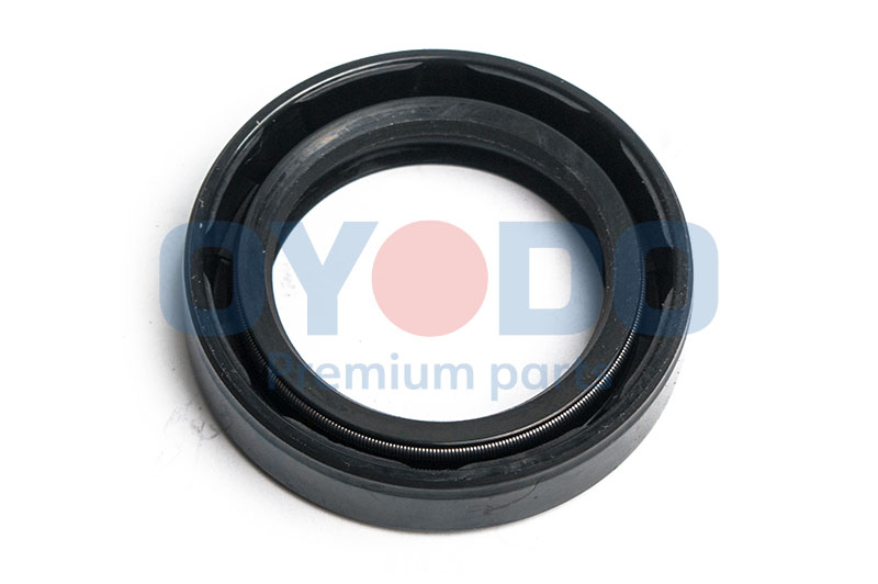 Shaft Seal, differential (30P8000-OYO)