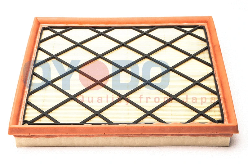 Air Filter (20F0021-OYO)