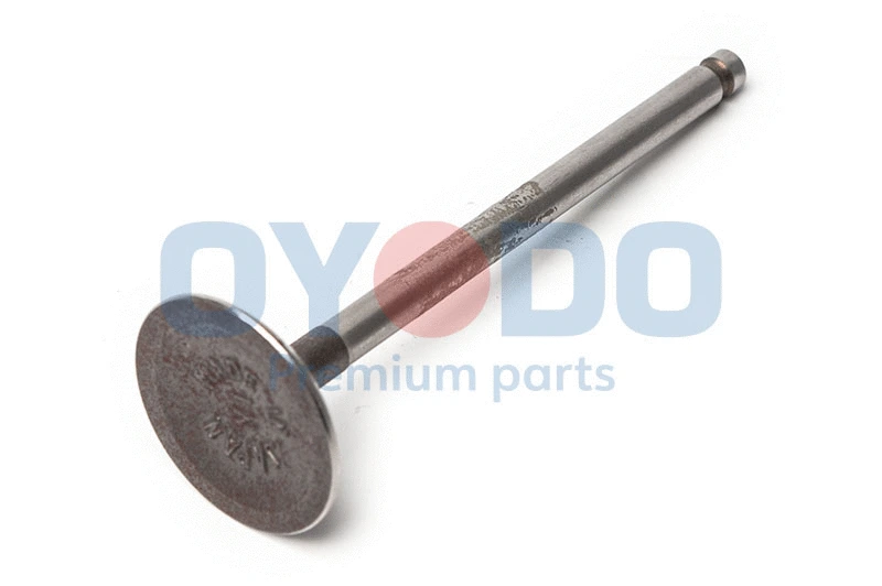 Intake Valve (70M5010-OYO)