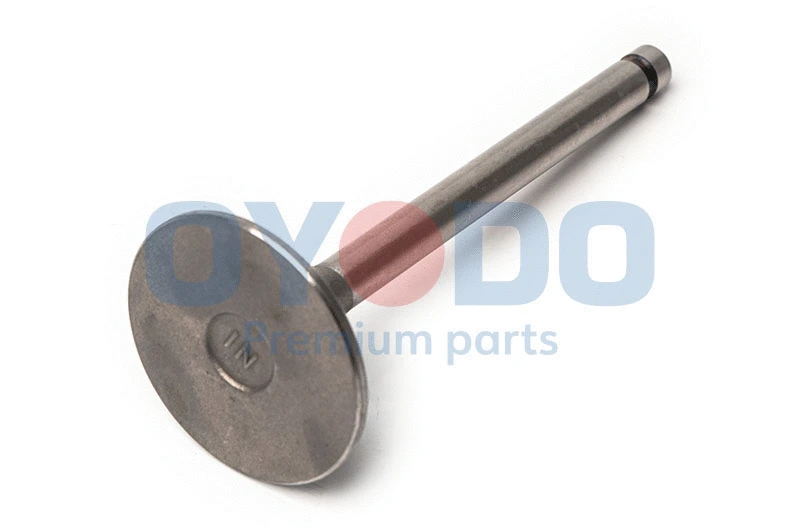 Intake Valve (70M3004-OYO)