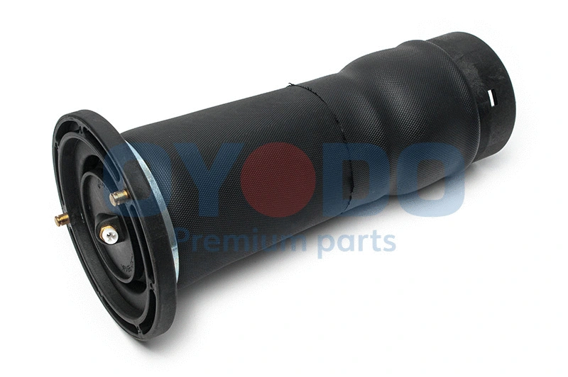 Air Suspension Strut (40A0010-OYO)