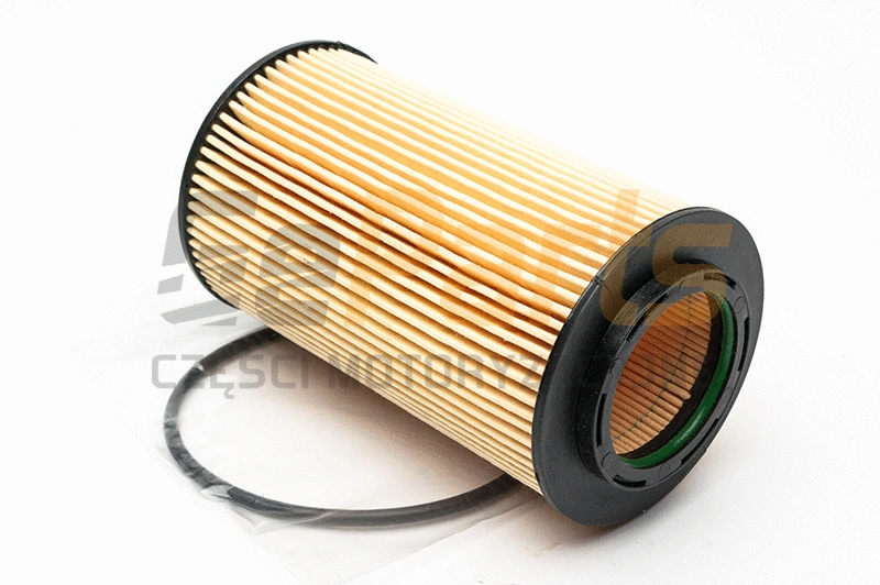 Oil Filter (10F0505-JPN)