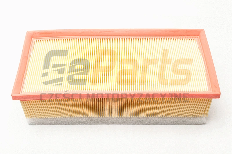 Air Filter (20F2075-JPN)