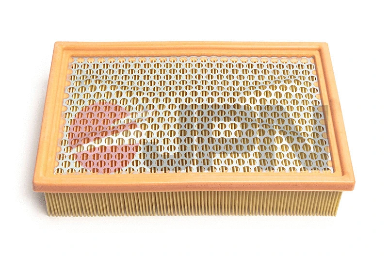 Air Filter (20F0009-JPN)