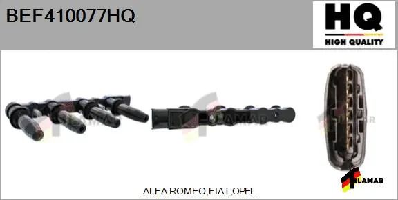 Ignition Coil (BEF410077HQ)
