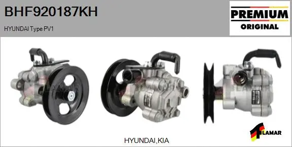 Hydraulic Pump, steering (BHF920187KH)