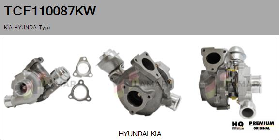 Charger, charging (supercharged/turbocharged) (TCF110087KW)