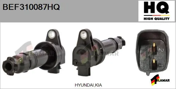 Ignition Coil (BEF310087HQ)