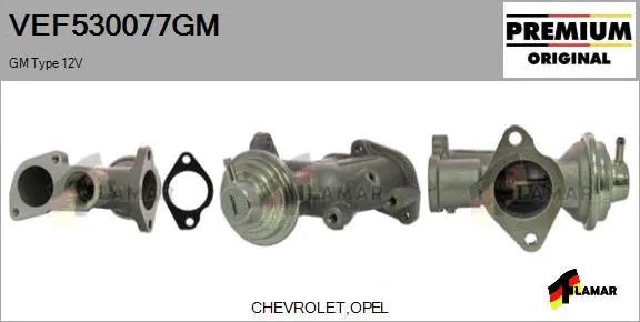 EGR Valve (VEF530077GM)