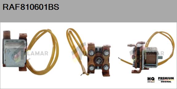 Relay, starter (RAF810601BS)