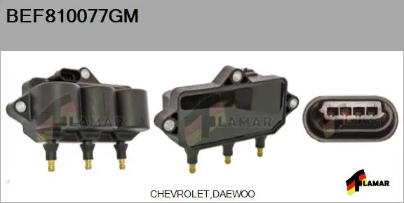 Ignition Coil (BEF810077GM)