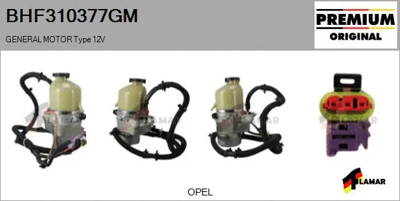 Hydraulic Pump, steering (BHF310377GM)