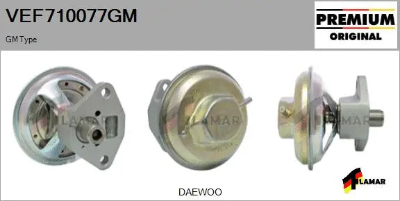 EGR Valve (VEF710077GM)