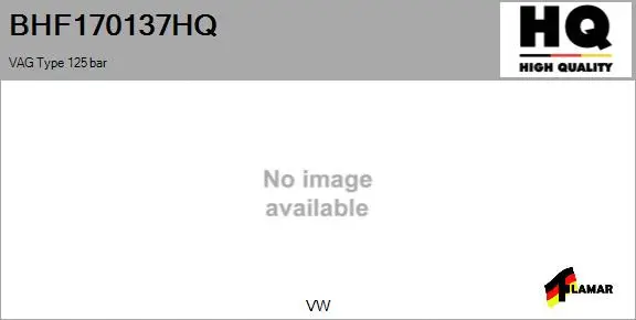 Hydraulic Pump, steering (BHF170137HQ)