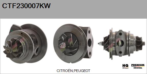 Core assembly, turbocharger (CTF230007KW)