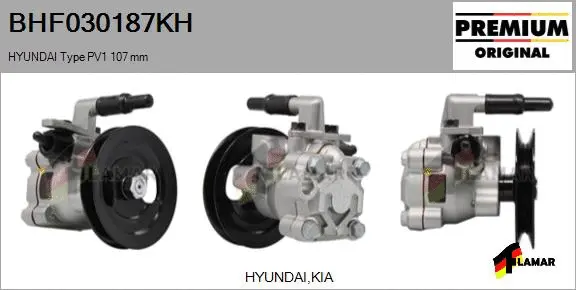 Hydraulic Pump, steering (BHF030187KH)