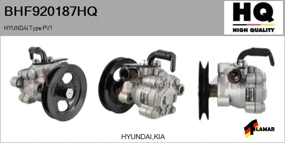 Hydraulic Pump, steering (BHF920187HQ)