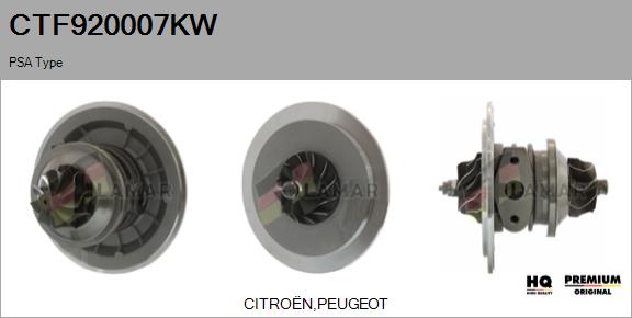 Core assembly, turbocharger (CTF920007KW)