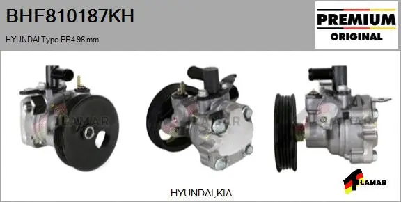 Hydraulic Pump, steering (BHF810187KH)