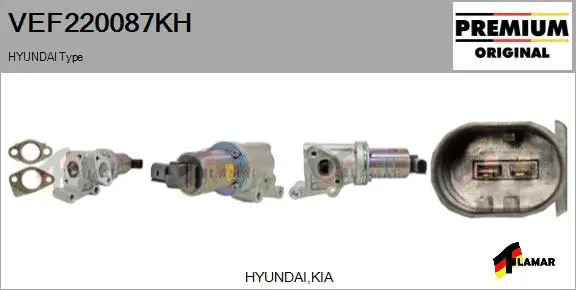 EGR Valve (VEF220087KH)