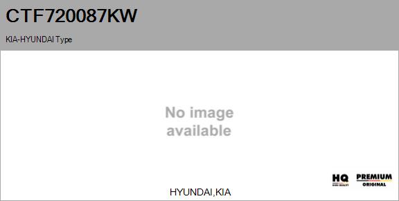 Core assembly, turbocharger (CTF720087KW)