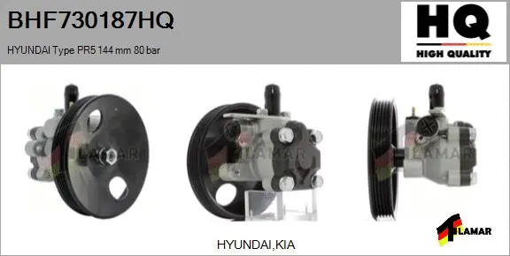 Hydraulic Pump, steering (BHF730187HQ)