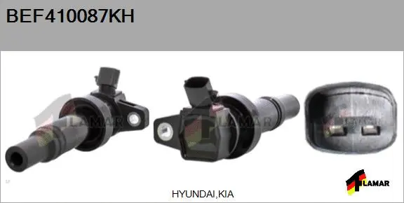 Ignition Coil (BEF410087KH)