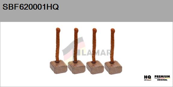 Carbon Brush, starter (SBF620001HQ)